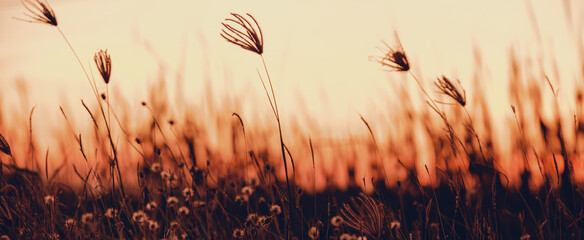 blowing in the breeze